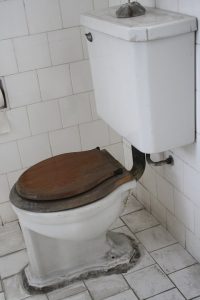 toilet-582538_960_720